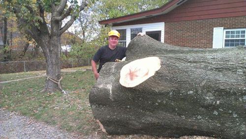 Man Standing Behind The Cut Tree Trunk